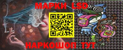 гидра Новозыбков