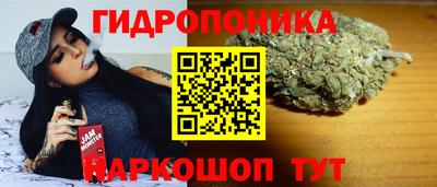 гидра Новозыбков