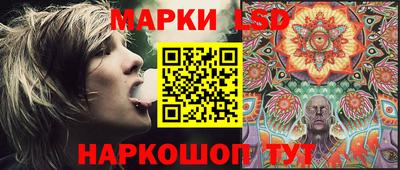 гидра Новозыбков