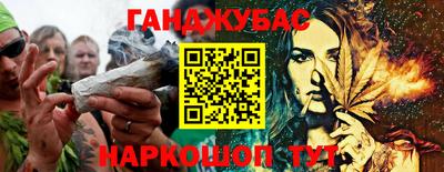 гидра Новозыбков