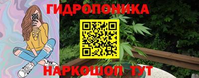 гидра Новозыбков