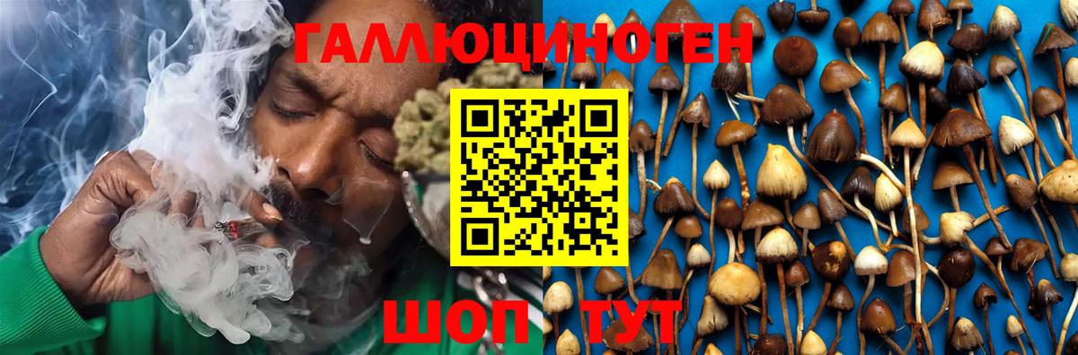 Псилоцибиновые грибы мухоморы Бирск